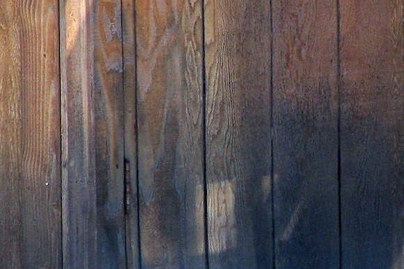 How to Prevent and Remove Mold from Cedar Siding
