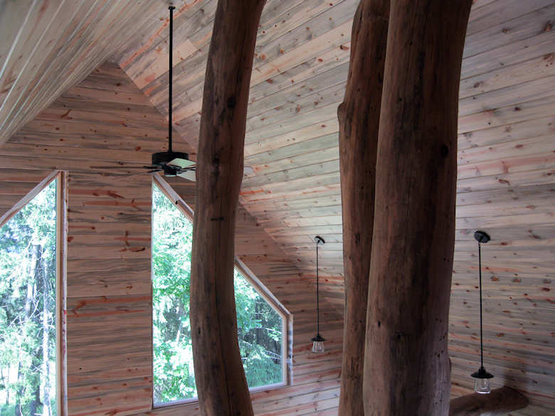 blue stain pine paneling