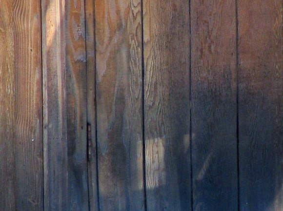 Black Mold on Western Red Cedar Siding