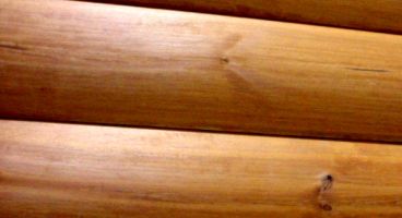pine log interior paneling